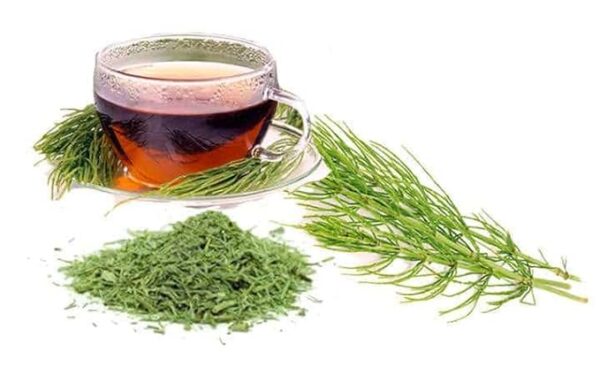 ESTAFIATE TE, Mugwort Herbal Tea 4oz (114gr) Estafiate Te | Artemisia ludoviciana | Stand Up Resealable Bag Crafted By Nature100% All Natural Fresh Tea Tea | Non-GMO | From Mexico - Image 6