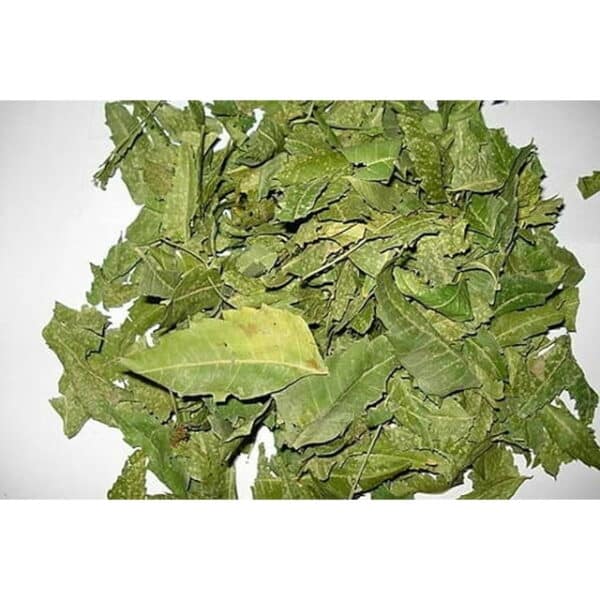 Hoja Neem TE 4 oz .113g. Neem Leaf Herb Tea Benefits for the Heart by B-Experts - Image 4