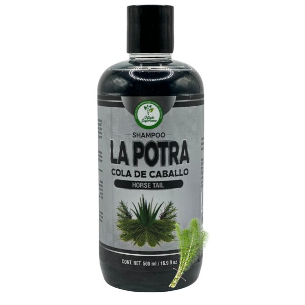 Shampoo Cola De Caballo (Shampoo horse tail plant) LA POTRA 500 ml Con Romero & Sabila(rosmary & aloe vera) - Image 3