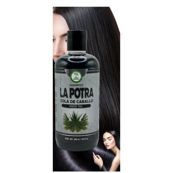 Shampoo Cola De Caballo (Shampoo horse tail plant) LA POTRA 500 ml Con Romero & Sabila(rosmary & aloe vera) - Image 2