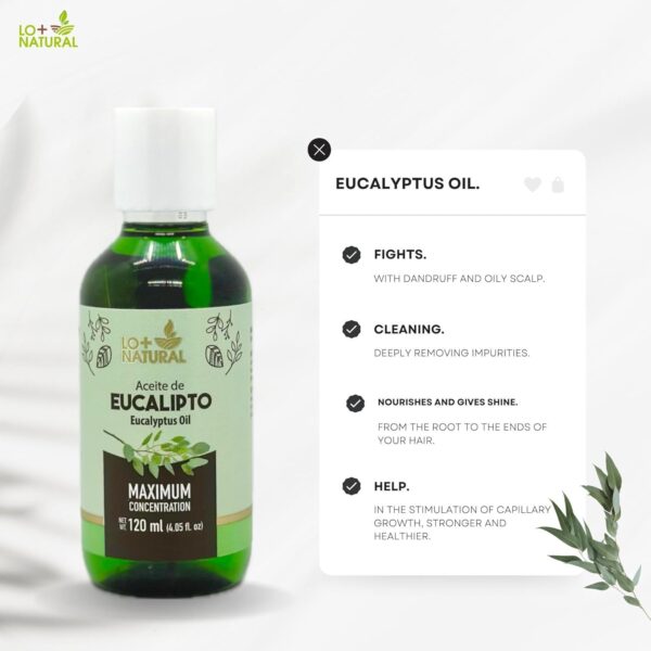Eucalyptus Oil Maximum Concentration (120 ml) ACEITE DE EUCALIPTO 4.05 oz