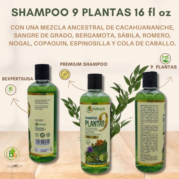 9-Plant Herbal Shampoo 16.9 fl oz–W/Cacahuananche, Sangre de Grado,Bergamota,Aloe(Sabila),Rosemary & More-Natural Botanical Formula– Paraben & Sodium-Free–Supports Strong, Clean & Healthy-Looking Hair Conditioner Haircare - Image 4