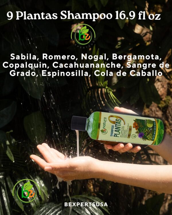 9-Plant Herbal Shampoo 16.9 fl oz–W/Cacahuananche, Sangre de Grado,Bergamota,Aloe(Sabila),Rosemary & More-Natural Botanical Formula– Paraben & Sodium-Free–Supports Strong, Clean & Healthy-Looking Hair Conditioner Haircare - Image 2