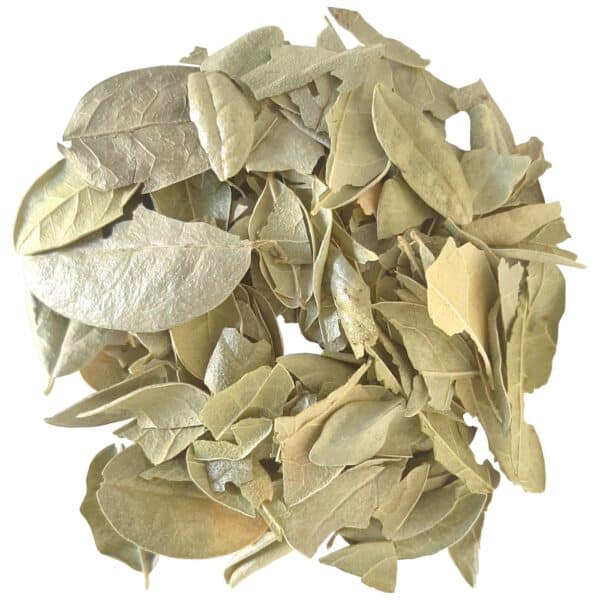 TEA Peumus Boldus Leaves 4 Oz | HOJAS DE BOLDO 4oz TE - Image 3
