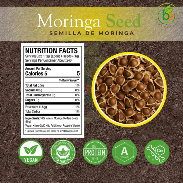 Moringa Seeds (Semillas) – 8.5 oz (Approx. 850 Seeds) – Premium Quality Moringa Oleifera – Edible – Non-GMO, Organically Grown – Superfood Rich in Nutrients – Resealable Pouch by Bexpertsusa - Image 4