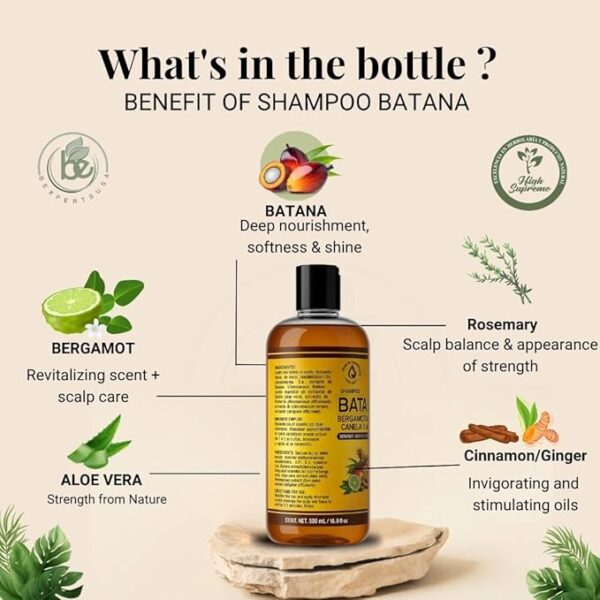 Batana Oil Shampoo w/Bergamota,Rosemary, Cinnamon,Aloe Vera & Ginger–Nourishing & Moisturizing–16.9 fl oz,Salt-Free,Paraben-Free,For Dry & Thinning Hair,Unisex,Supports Healthy-Looking Hair & Fullness - Image 4